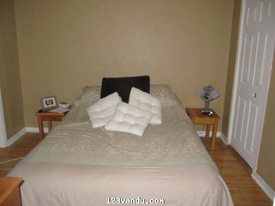 Annonces classees img:1 