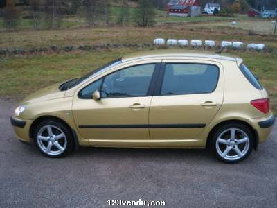 Annonces classees img:preview Peugeot 307