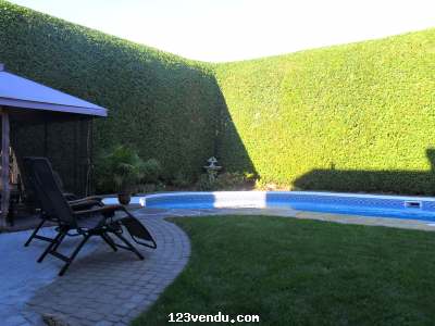 Annonces classees img:1 