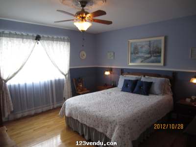 Annonces classees img:1 