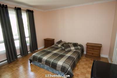 Annonces classees img:1 