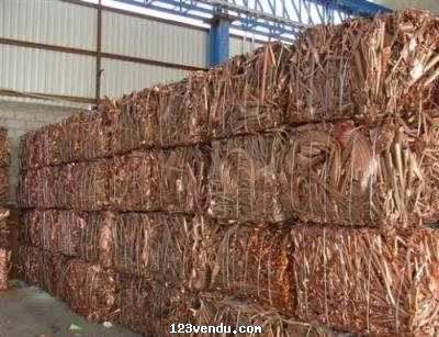 Annonces classees img:preview Pur cuivre disponible en cables et en dechet