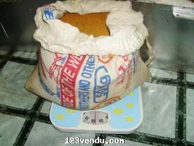 Annonces classees img:1 