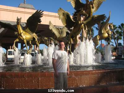 Annonces classees img:1 