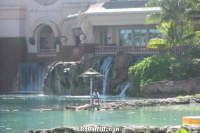 Annonces classees img:2 