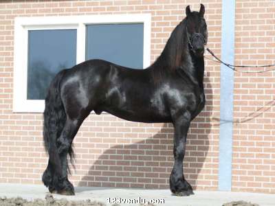 Annonces classees img:2 