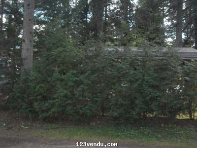 Annonces classees img:preview Roulotte Terry Fox