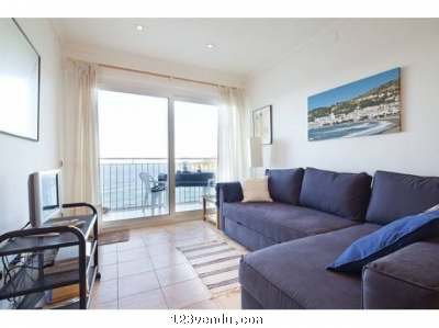 Annonces classees img:1 