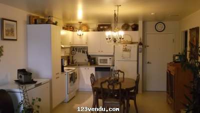 Annonces classees img:preview Grand 3 1/2 a louer juillet