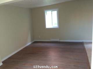 Annonces classees img:1 