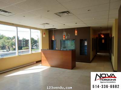 Annonces classees img:1 