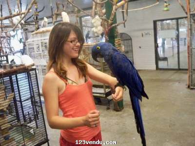 Annonces classees img:1 