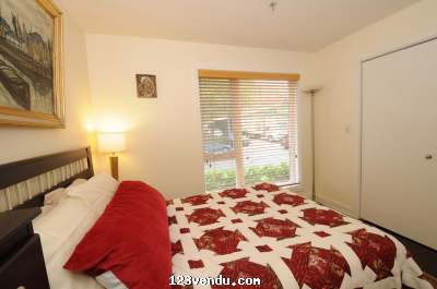 Annonces classees img:1 