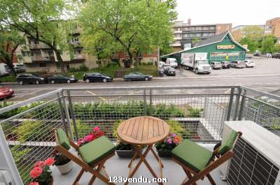 Annonces classees img:2 