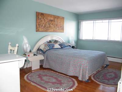 Annonces classees img:1 