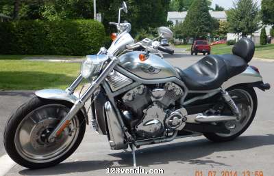 Annonces classees img:preview Moto COstom, vrod 100e anniversaire