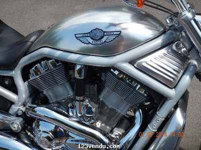 Annonces classees img:1 