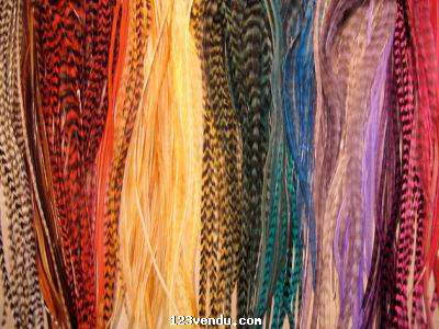 Annonces classees img:preview plumes de coq et des cheveux humains et brésilien à vendre 