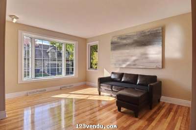 Annonces classees img:1 