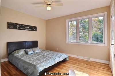 Annonces classees img:2 