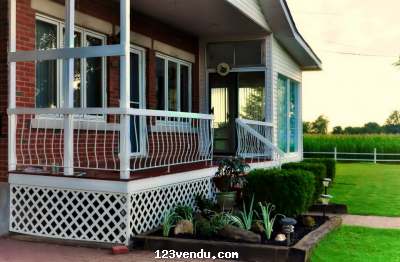 Annonces classees img:1 