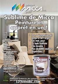 Annonces classees img:preview Peinture