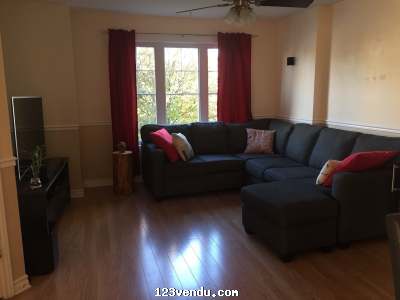 Annonces classees img:1 