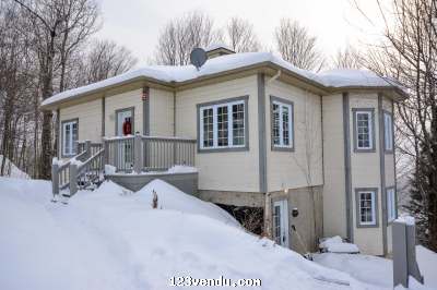 Annonces classees img:preview Mont-Tremblant_Superbe Duplex Insonorisé_Construction 2004